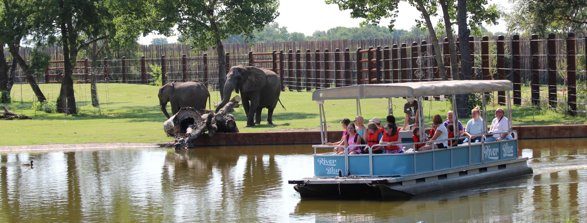 Family Fun: Your Guide to a Memorable Spring Day at Sedgwick County Zoo